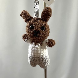 Lapin garçon brun