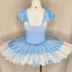 Tutu stretch L'oiseau bleu